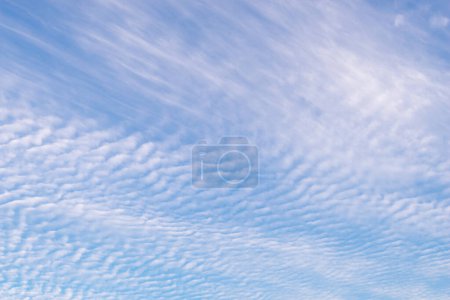 Photo for Cirrocumuls clouds on blue sky in summer morning background - Royalty Free Image