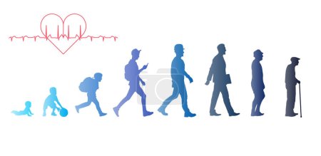 Illustration for Men, stages of development. Decorated with a gradient. Life from birth to old age. - Royalty Free Image