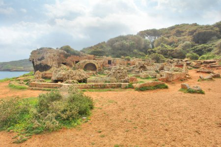 Foto de Ruinas de la ciudad romana de Tipaza en Argelia - Imagen libre de derechos