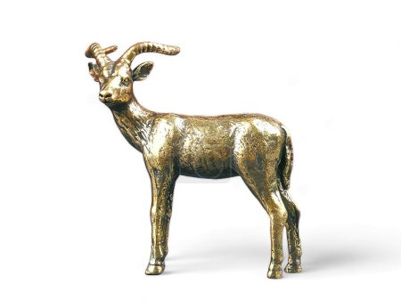 Foto de Cornamenta de ciervo dorado estatua animal sobre fondo blanco - Imagen libre de derechos