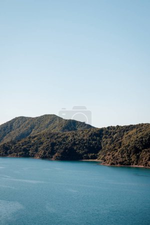 Photo for An image looking at the hills of Picton in New Zealand. In the foreground you can see the sea, the hills are covered in plant life - Royalty Free Image