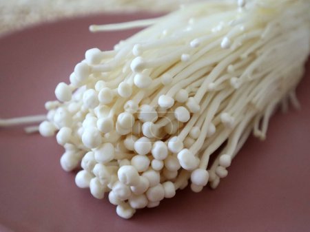 Photo for Popular in asian cuisine fresh golden needle mushroom or enoki - Royalty Free Image