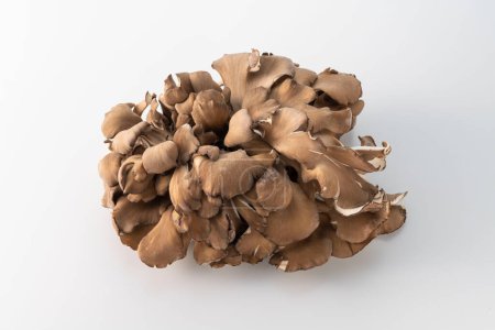 Téléchargez les photos : Fresh, fragrant and delicious maitake mushrooms - en image libre de droit