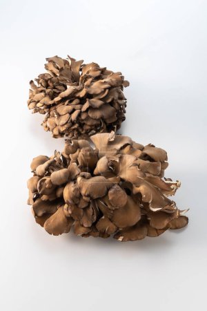 Photo for Fresh, fragrant and delicious maitake mushrooms - Royalty Free Image