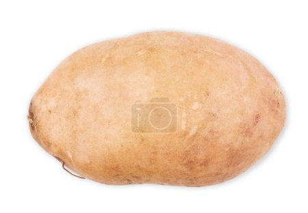Foto de Patata dulce con rodajas aisladas en blanco - Imagen libre de derechos