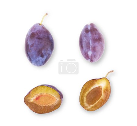 Photo for Three plums with leaves on white background - Royalty Free Image