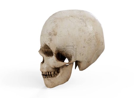 Photo for Pirate Skull - 3D render close up - Royalty Free Image