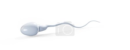 Photo for Male sperm cells floating to ovule in fallopian tube. 3D render - Royalty Free Image
