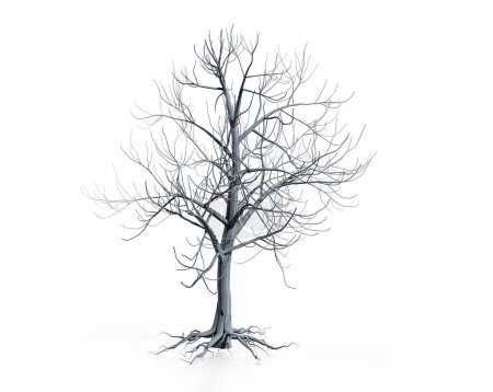Photo for Isolated tree without leaf on white background with clipping, 3D illustration rendering - Royalty Free Image
