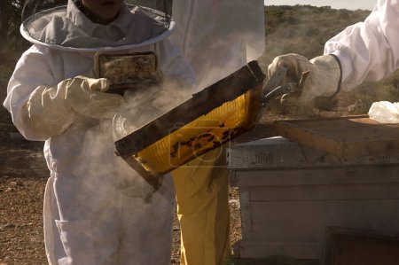 Cerca de un niño con protección aprende apicultura con dos adultos, soplando humo sobre la colmena.