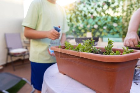 Un adolescent pulvérise les plantes avec un pulvérisateur d'eau. Il suit les instructions de sa mère. Concept de jardinage à domicile