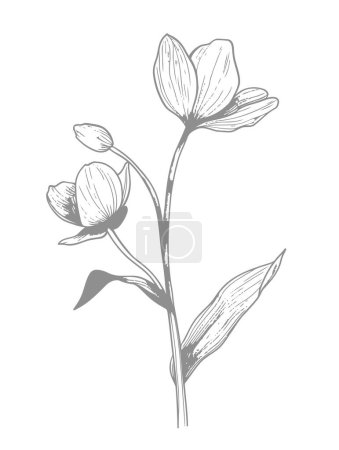Photo for Vector line art flower silhouette - Royalty Free Image