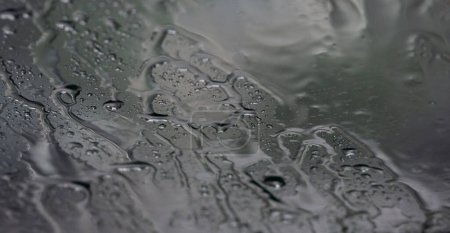 Téléchargez les photos : Gouttes de pluie dégoulinantes sur verre, gros plan - en image libre de droit
