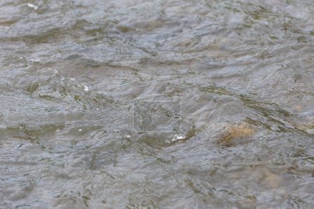Téléchargez les photos : Eau de rivière surface en mouvement - en image libre de droit