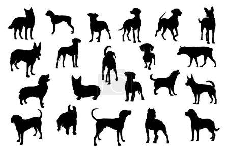 Foto de Manojo de silueta de perro, perro silueta vector descarga gratuita, muchas razas de perro en siluetas - Imagen libre de derechos
