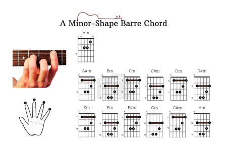Téléchargez les photos : Un palmarès d'accords de guitare avec des accords de barre de forme A-majeur, E-majeur, E-mineur et A-mineur pour les débutants de guitare avec position des doigts - en image libre de droit