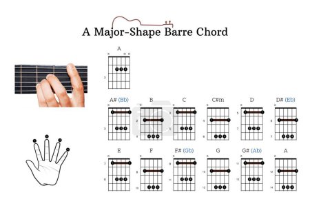 Téléchargez les photos : Un palmarès d'accords de guitare avec des accords de barre de forme A-majeur, E-majeur, E-mineur et A-mineur pour les débutants de guitare avec position des doigts - en image libre de droit