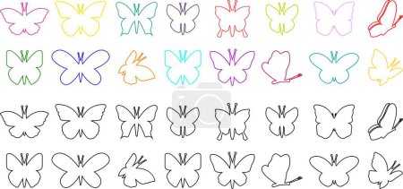 Butterflies silhouette black and colorful drawing line icon set. Flaying butterflies vector collection isolated on transparent background. Use for graphic design, beauty, web and mobile app.