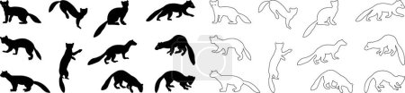 Illustration for Marten silhouettes. marten icon set from animals element collection wildlife outline vector isolated on transparent background flat and line black icon marten sign, symbol for web and mobile - Royalty Free Image