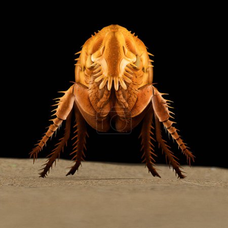 Ilustración 3D de una pulga detallada: SEM Electron Microscope Replica en color naranja