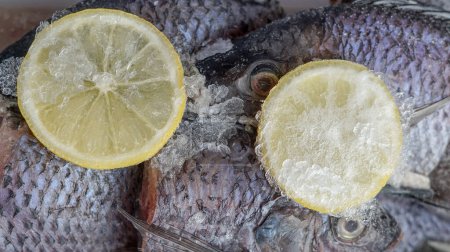 Mujaer Fisch konserviert mit Eis und Zitronenscheiben