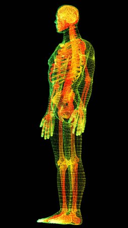 Futuristische Head-up-Anzeige Bewegungselement virtuelle biomedizinische holographische Untersuchung des menschlichen Körpers neurologische Untersuchung, Axialskelett, Wirbelsäule, DNA und Herz Diagnostik für Hintergrund
