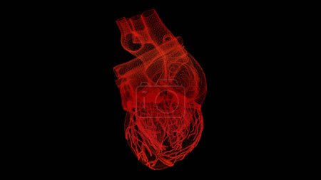 Foto de Exploración biomédica virtual holográfica del cuerpo humano del elemento de movimiento de la cabeza para arriba futurista exploración neurológica, esqueleto axial, columna vertebral, ADN y diagnóstico del corazón para el fondo - Imagen libre de derechos