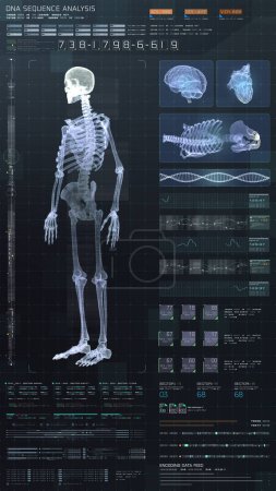 Téléchargez les photos : Illustration 3D, affichage tête haute holographique virtuel futuriste du scanner biomédical du corps humain, examen neurologique, colonne vertébrale et diagnostic cardiaque pour l'affichage de la tablette - en image libre de droit