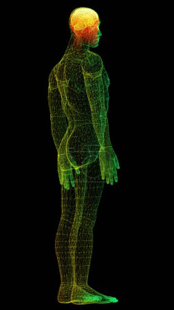 Foto de Escaneo holográfico biomédico virtual del cuerpo humano del elemento de movimiento de la cabeza para arriba futurista examen neurológico, esqueleto axial, columna vertebral, ADN y diagnóstico del corazón para la exhibición de fondo - Imagen libre de derechos