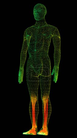Téléchargez les photos : Futuriste tête haute affichage mouvement élément virtuel biomédical holographique corps humain scan examen neurologique, squelette axial, colonne vertébrale, ADN et le diagnostic cardiaque pour l'affichage de fond - en image libre de droit