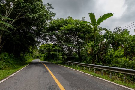 Téléchargez les photos : Route de campagne passant par la verdure luxuriante sereine et feuillage forêt tropicale paysage montagneux sur la montagne Doi Phuka réserve parc national du nord de la Thaïlande - en image libre de droit