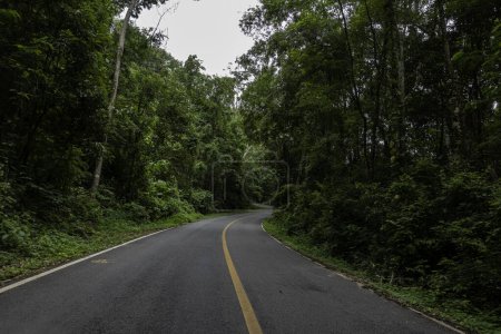Countryside road passing through the serene lush greenery and foliage tropical rain forest mountain landscape on the Doi Phuka Mountain reserved national park the northern Thailand
