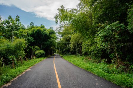 Téléchargez les photos : Route de campagne passant par la verdure luxuriante sereine et feuillage forêt tropicale paysage montagneux sur la montagne Doi Phuka réserve parc national du nord de la Thaïlande - en image libre de droit