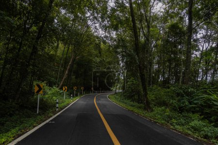 Foto de Campiña carretera que pasa a través de la vegetación exuberante serena y follaje tropical selva tropical paisaje de montaña en la montaña Doi Phuka reserva el parque nacional del norte de Tailandia - Imagen libre de derechos