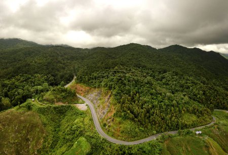 Téléchargez les photos : Concept logistique vue aérienne de la route de campagne autoroute passant par la verdure luxuriante sereine et feuillage forêt tropicale paysage montagneux - en image libre de droit