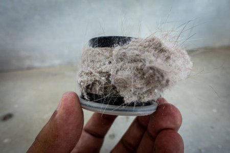 Téléchargez les photos : Filtre aspirateur ménager obstrué par la poussière, les acariens, les poils et la fourrure d'animal après un nettoyage ménager intensif : allergie, concept non hygiénique - en image libre de droit