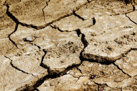 Téléchargez les photos : Photo détail des sols fissurés par la sécheresse climatique - en image libre de droit