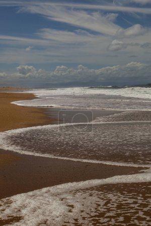 Foto de Playa ribera con movimiento de olas en un día soleado, foto vertical - Imagen libre de derechos