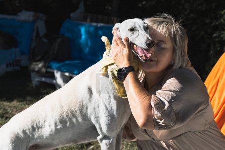 Photo for Happy and relaxed beautiful woman hugging her greyhound - Royalty Free Image