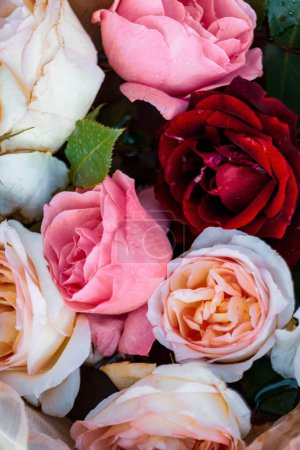 Foto de Varias rosas de diferentes colores colocadas en forma vertical. - Imagen libre de derechos