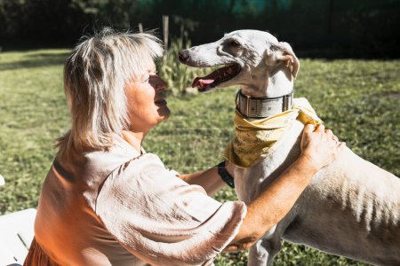 Photo for Woman sitting in the field hugging her greyhound - Royalty Free Image