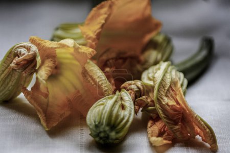 Photo for Detail photo of several zucchini flowers in shades of yellow and green arranged for treatment - Royalty Free Image