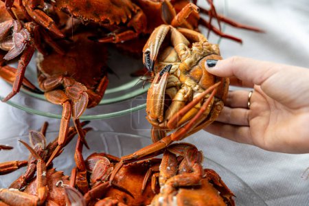 Téléchargez les photos : Assiette de plusieurs crabes de mer avec la main de la fille tenant l'un d'eux - en image libre de droit