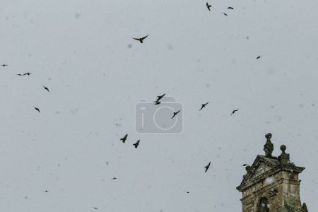 Téléchargez les photos : Découpe d'un clocher et du ciel avec plusieurs oiseaux volant alors qu'il neige lourdement - en image libre de droit