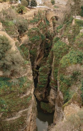 Foto de "Una vista del histórico puente de piedra que cruza el profundo desfiladero de El Tajo en Ronda, con exuberante vegetación que rodea los acantilados." - Imagen libre de derechos