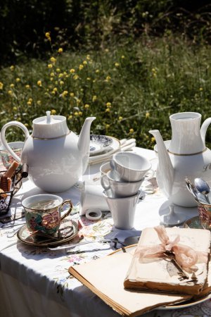Foto de Delicado juego de té de porcelana brilla bajo el sol en medio de un prado natural. - Imagen libre de derechos