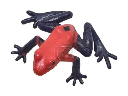 Das Spielzeug ist eine rote Kröte mit blau gefleckten Pfoten auf weißem Hintergrund. Kröten-Wildtiere. Ein Krötenblick von oben