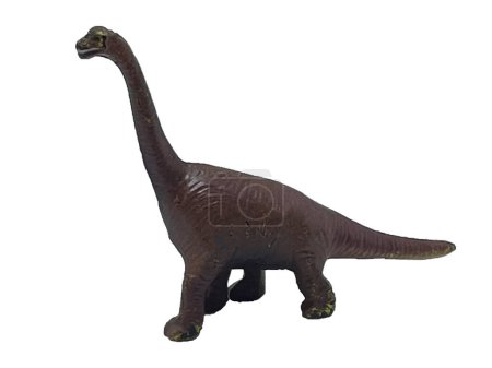 Toy one dinosaur on a white background. World of wild beasts. Long-necked dinosaur toy