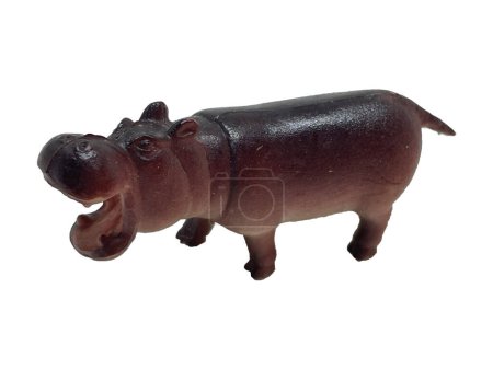 Toy rubber hippo on a white background. Rubber toy animal one hippo on white background