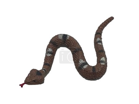 Ein Schlangenspielzeug windet sich vor weißem Hintergrund. Gummispielzeugschlange. Schlangenblick